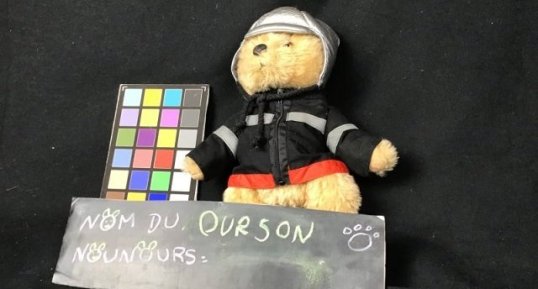 Ourson