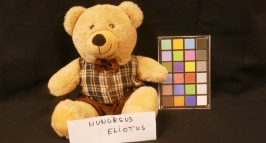 Eliot