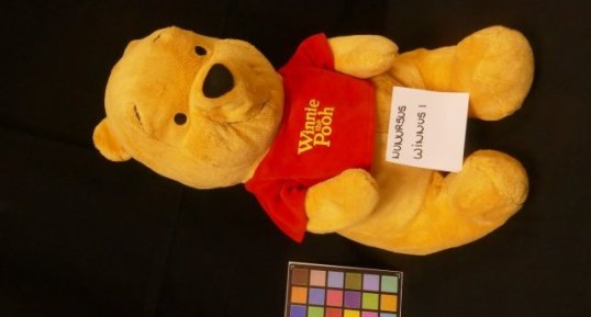 Winnie 1