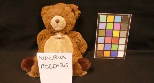 Robert