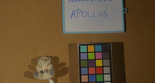 Apollus