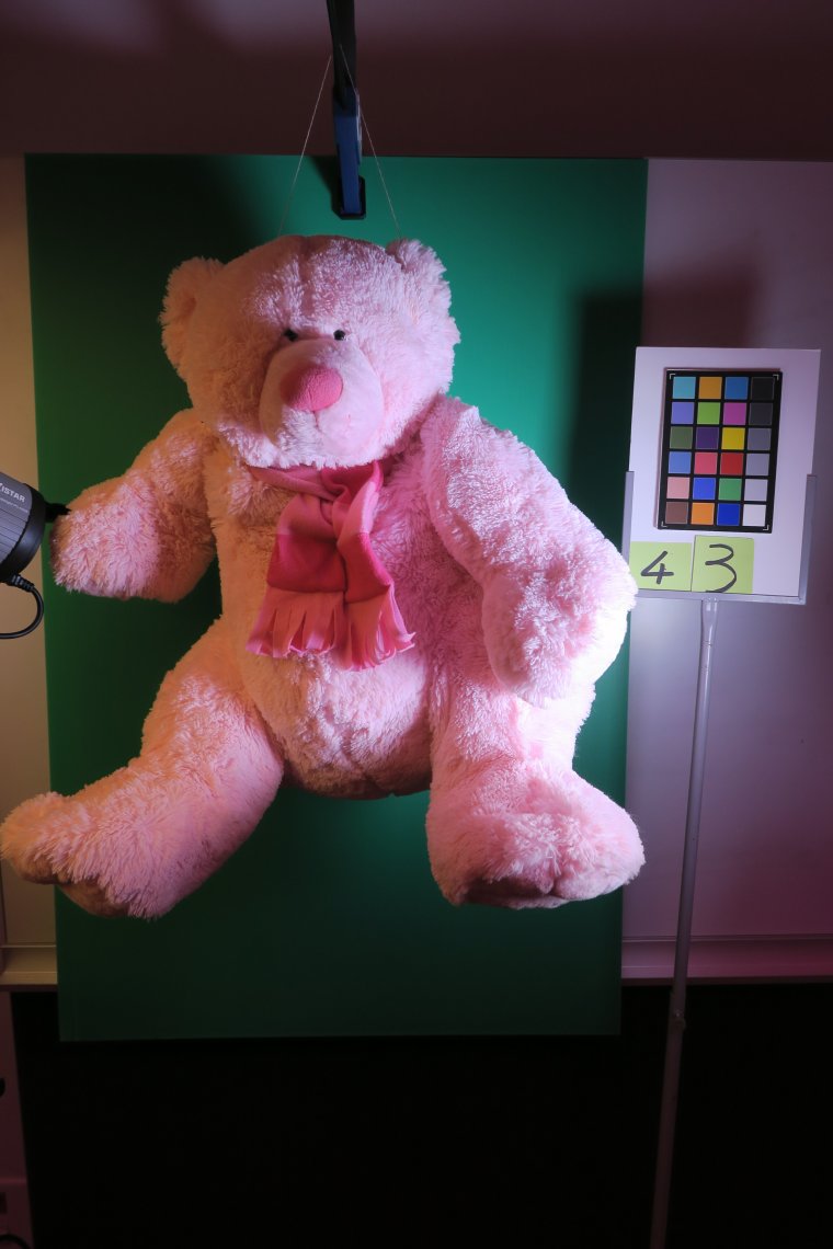 Nounours43
