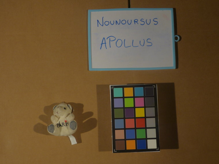 9 Apollus